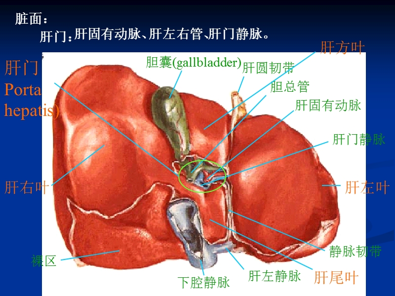 腹部影像疑难病例讲解.ppt_第3页