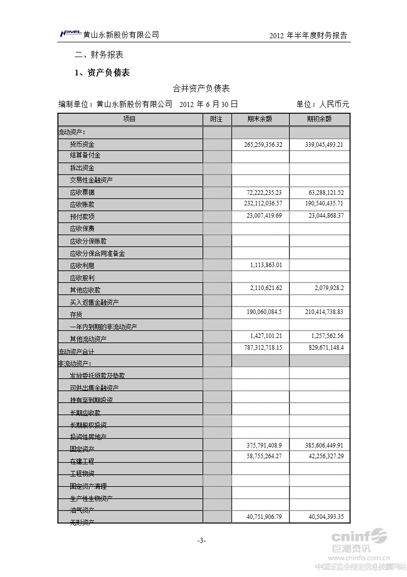 永新股份：2012年半年度财务报告.ppt_第3页