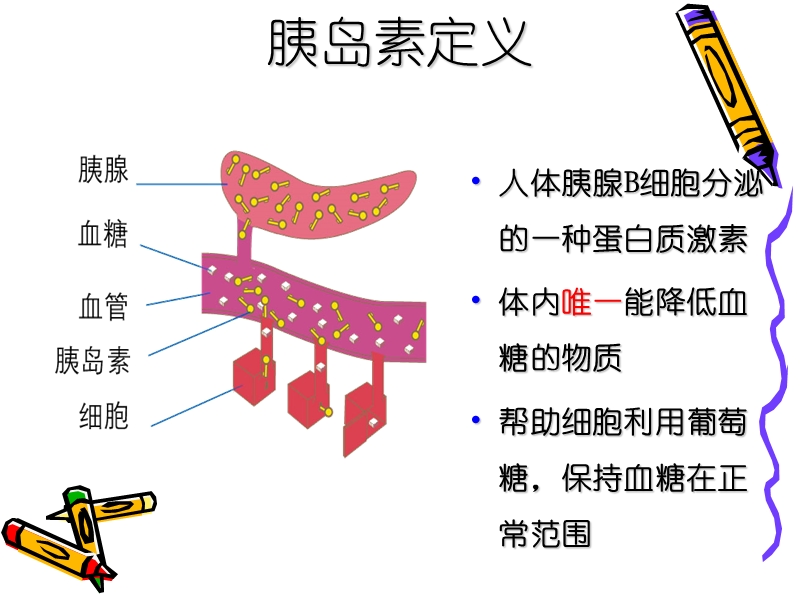 胰岛素的临床应用.ppt_第3页