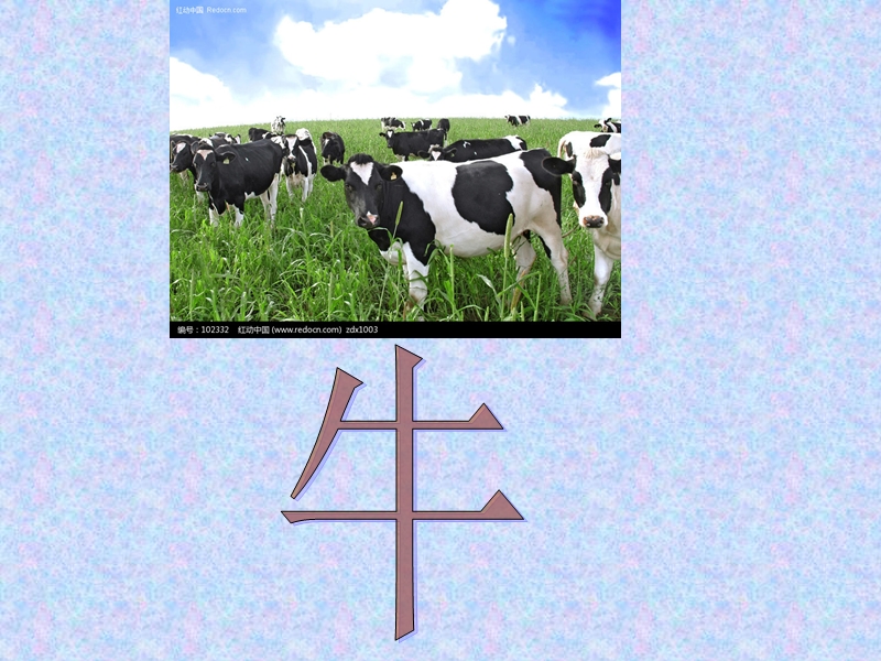 看图识字(二).ppt_第3页