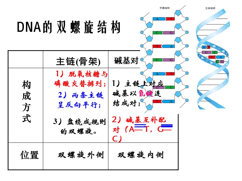 第三节 dna分子的复制.ppt_第1页