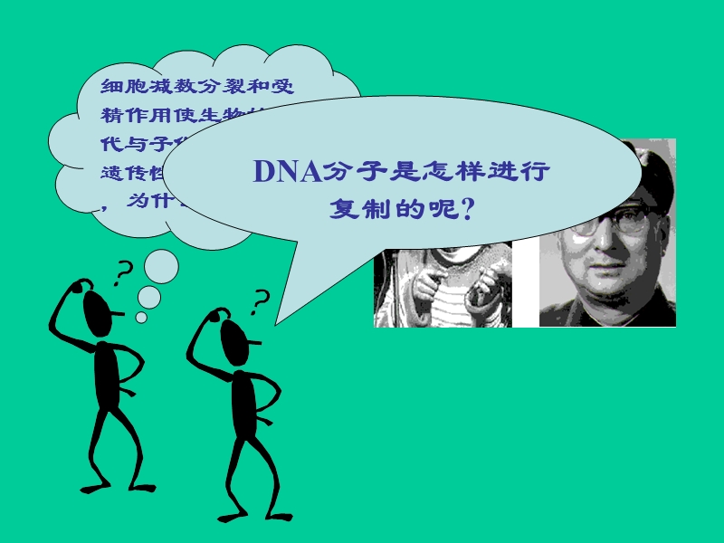 第三节 dna分子的复制.ppt_第2页