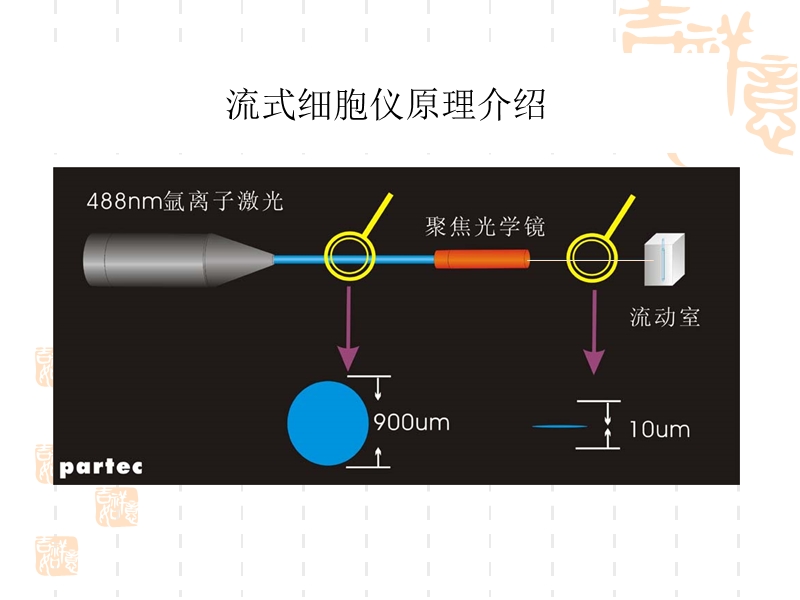 流式细胞的原理及临床应用.ppt_第3页