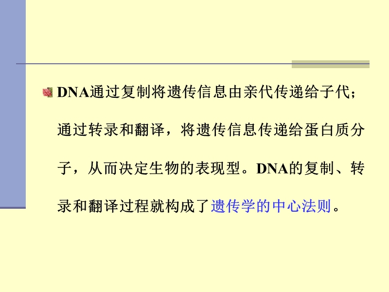 第9章 核酸的生物合成.ppt_第3页