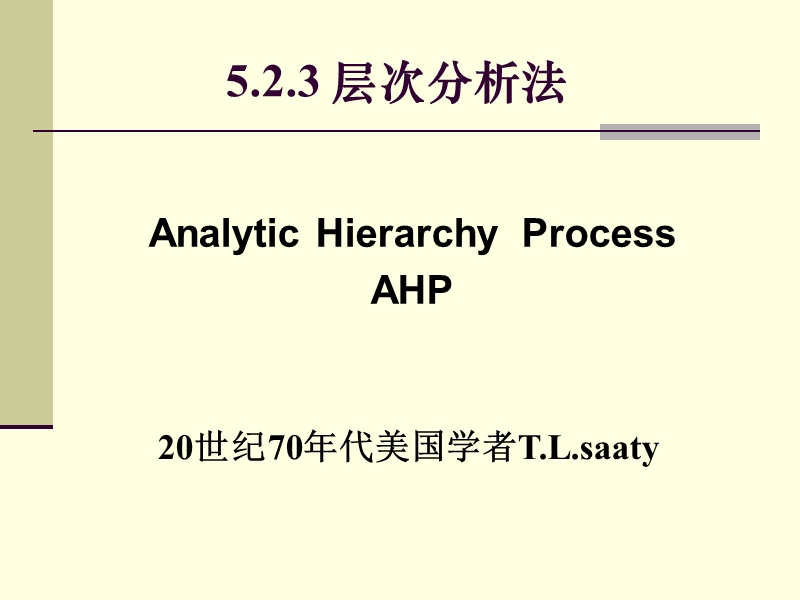 第五章 项目风险评价(3)(课件).ppt_第1页