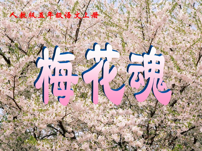 梅花魂课件.ppt_第1页