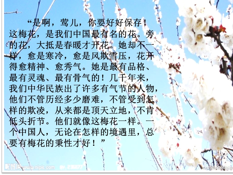 梅花魂课件.ppt_第3页