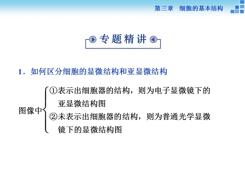 细胞结构图像的辨别.ppt_第2页