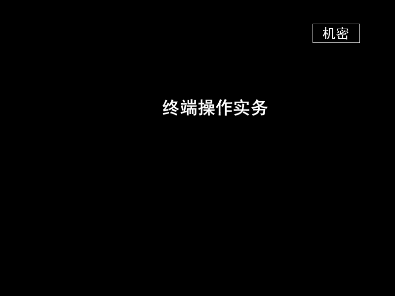 终端操作实务.ppt_第1页