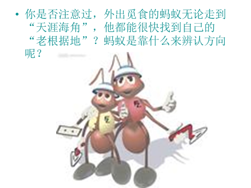 第八课 蚂蚁.ppt_第3页