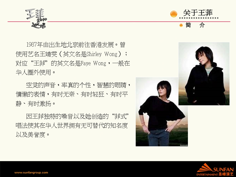 王菲2010年巡回演唱会冠名赞助方案.ppt_第3页