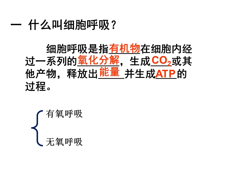 第三节 能量的主要来源—呼吸作用 修改版.ppt_第2页