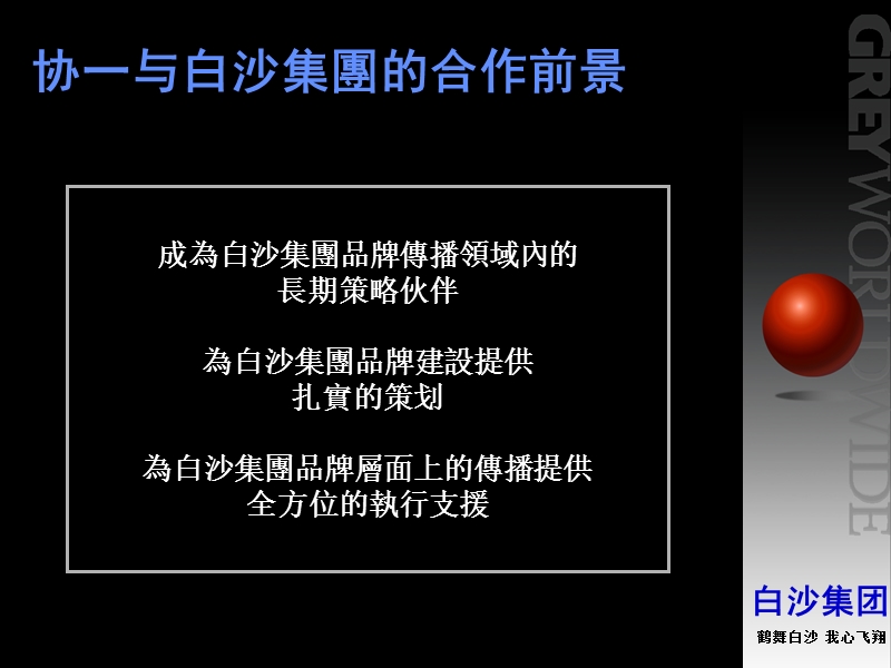 白沙集团市场领导者纲领文件.ppt_第2页