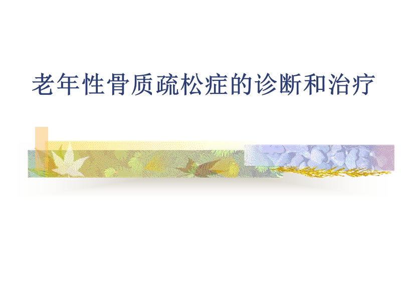 老年性骨质疏松症的诊断和治疗.ppt_第1页