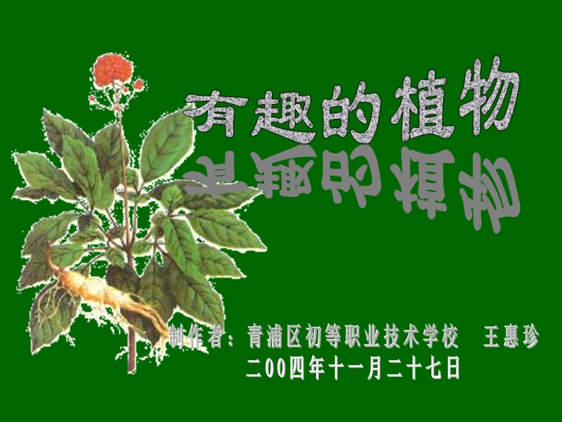 有趣的植物.ppt_第1页