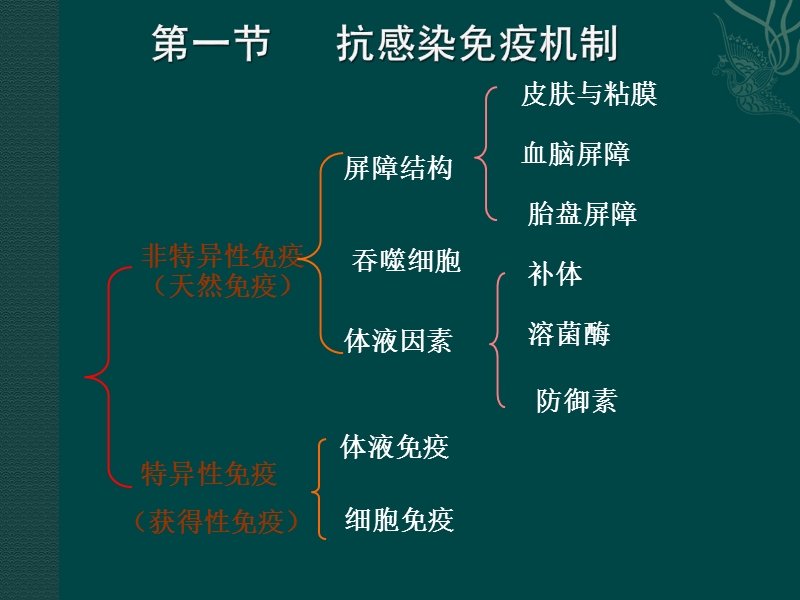 第七章抗感染免疫(课件).ppt_第2页