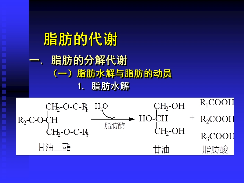 脂肪的代谢.ppt_第1页