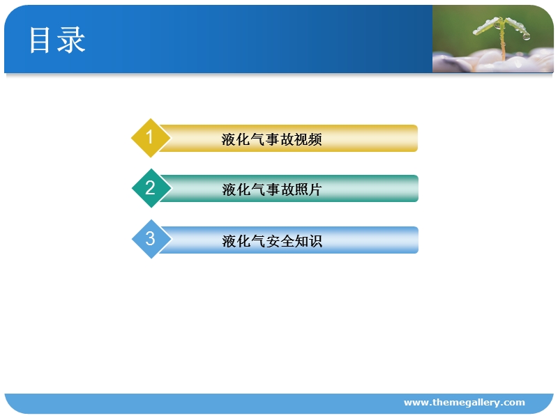 液化气安全经验分享.ppt_第2页