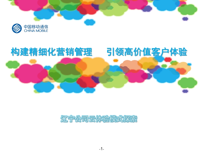 构建精细化营销管理引领高价值客户体验辽宁公司云体验模式探索.ppt_第1页