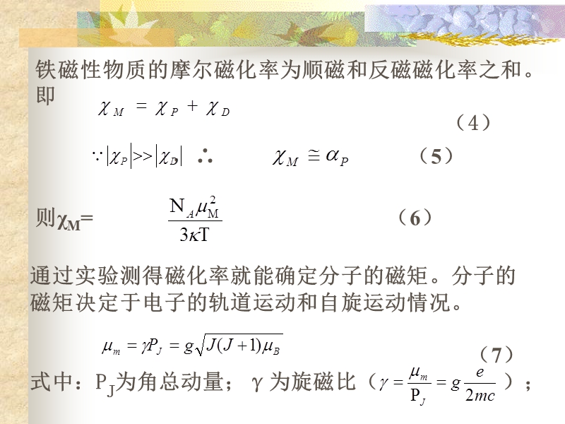 磁化率测定.ppt_第3页