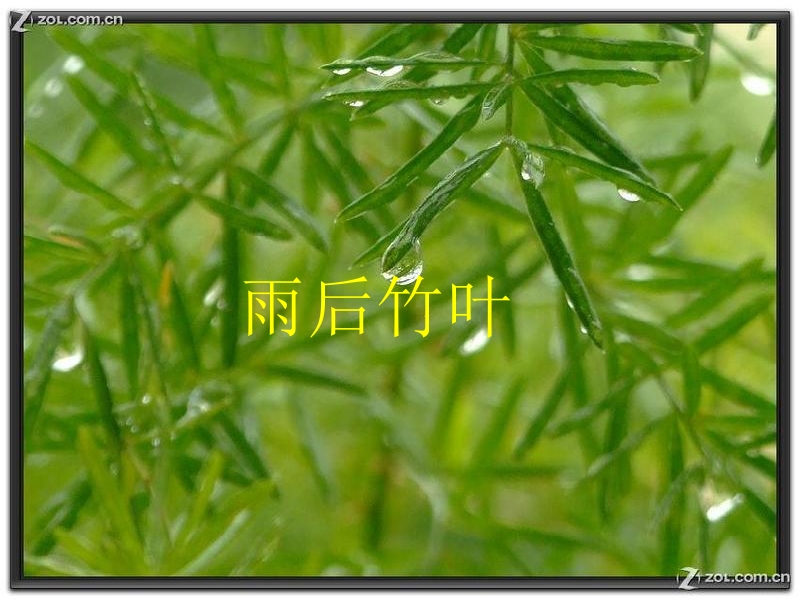 雨后》ppt课件.ppt_第3页