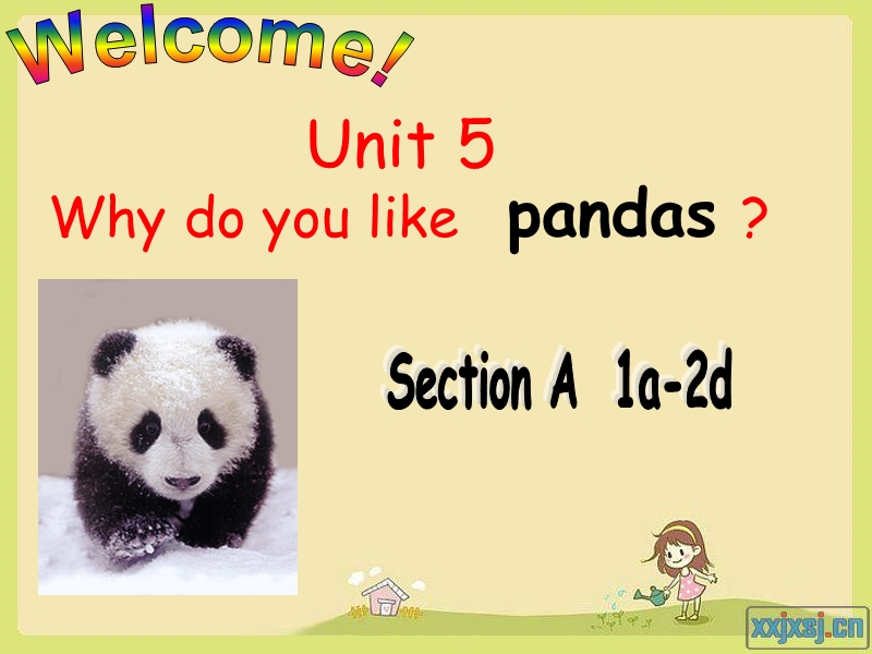 英语人教版新版七年级下册 公开课 unit5why do you like pandas sectional课件.ppt_第1页