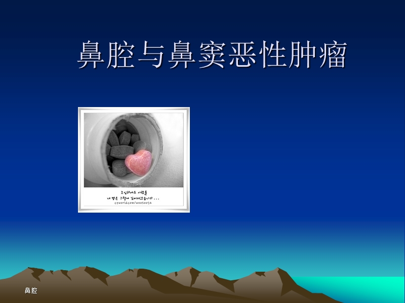 鼻腔与鼻窦恶性肿瘤.ppt_第1页