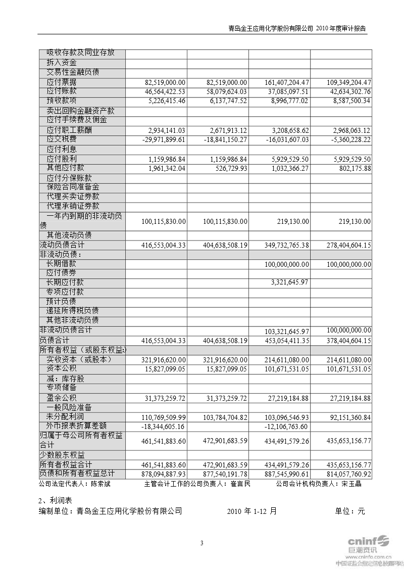 青岛金王：2010年年度审计报告.ppt_第3页