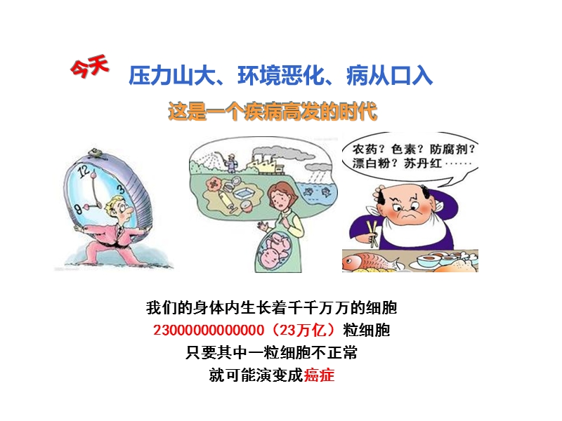 金佑人生产品篇.ppt_第2页