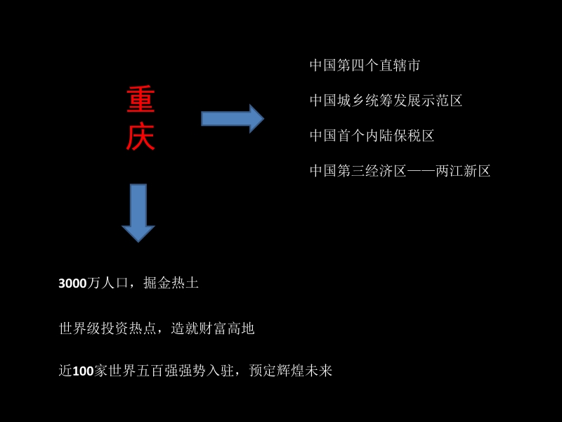 重庆金唐·新城市广场招商手册.ppt_第2页