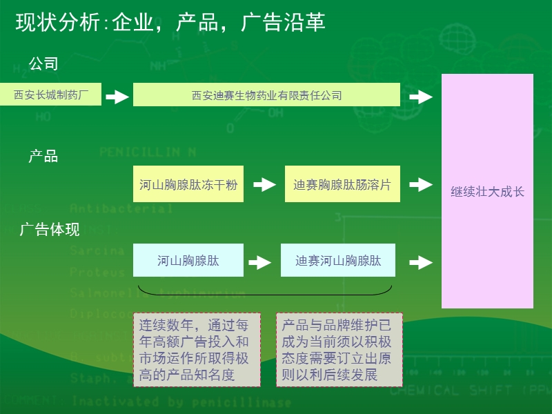 迪赛生物药业品牌注入与企业形象实行规划提报.ppt_第2页