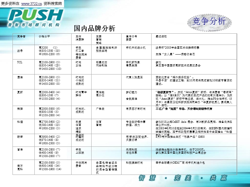 迪比特手机品牌整体规划暨销售推广建议书(ppt 37页).ppt_第3页