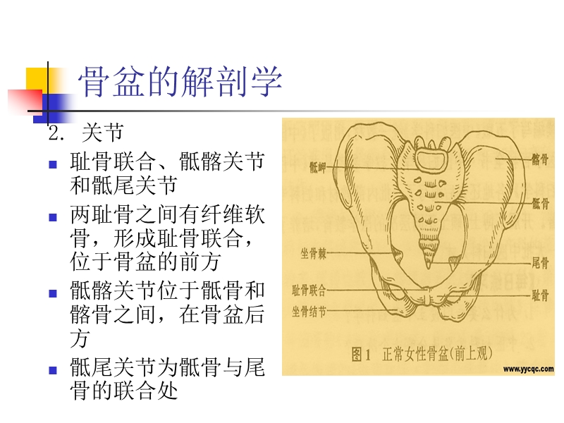 骨盆骨折病人的护理管理.ppt_第3页