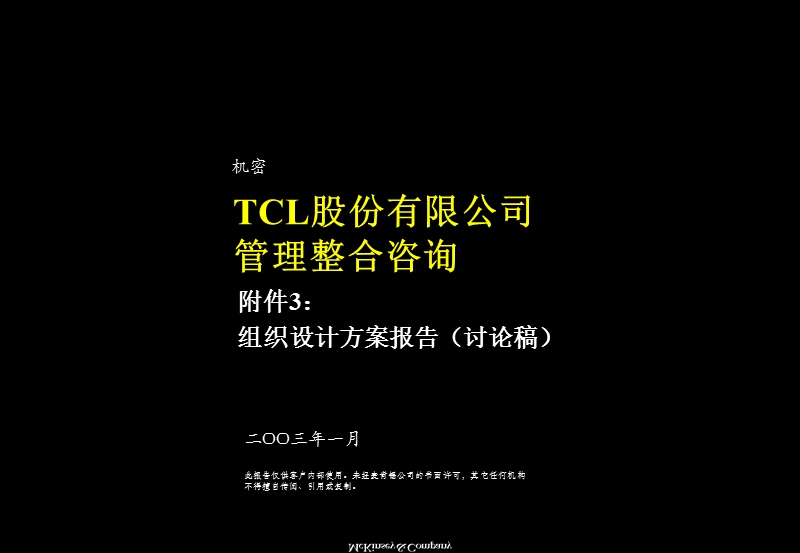 麦肯锡tcl股份组织结构设计方案（ppt）.ppt_第1页