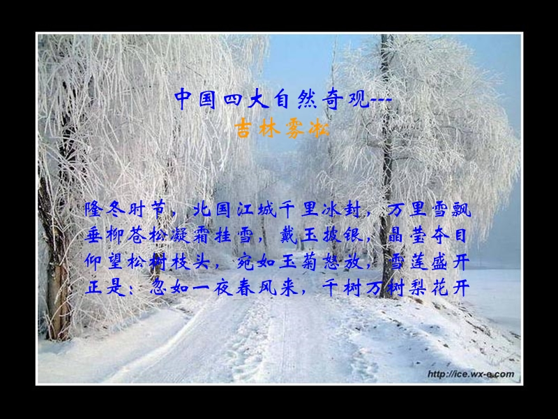 雾凇ppt课件.ppt_第1页