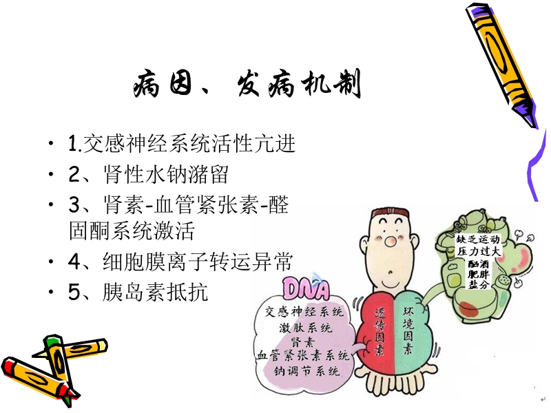 高血压及高血压急症的护理.ppt_第3页