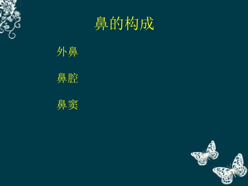 鼻的解剖.ppt_第3页