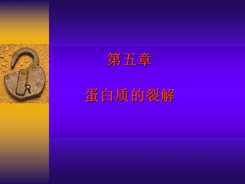 蛋白质的裂解.ppt_第1页