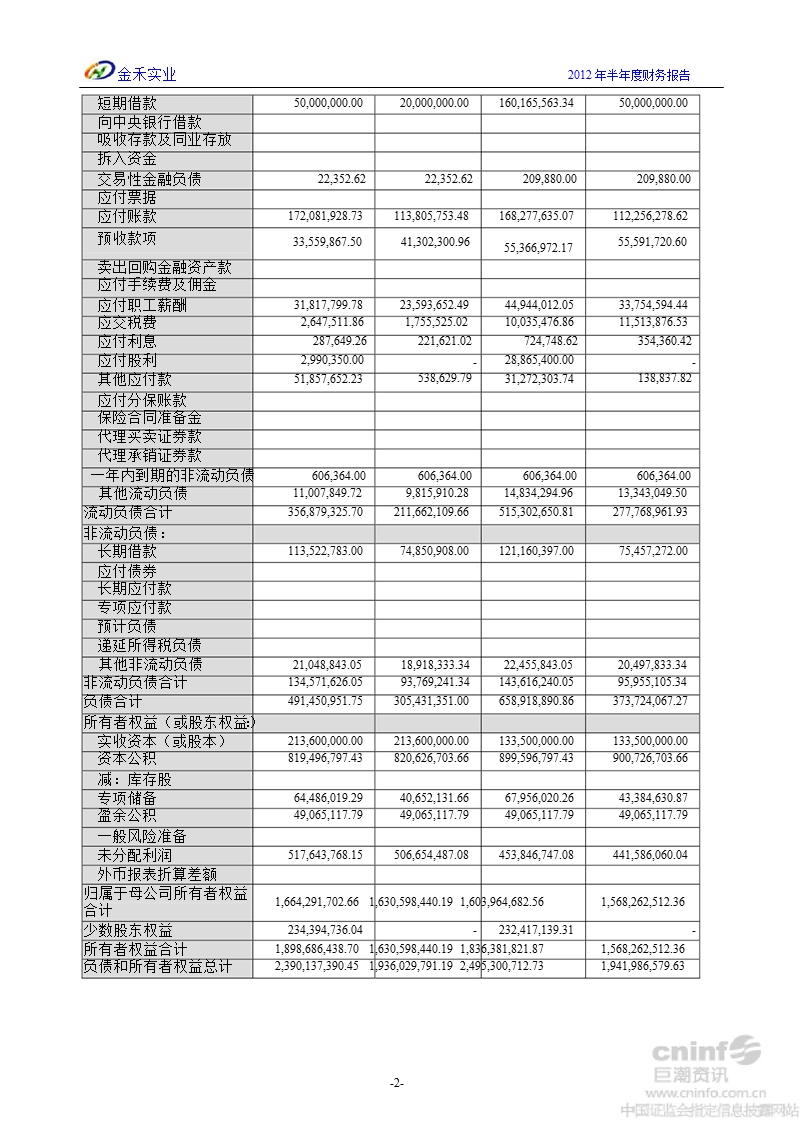 金禾实业：2012年半年度财务报告.ppt_第3页