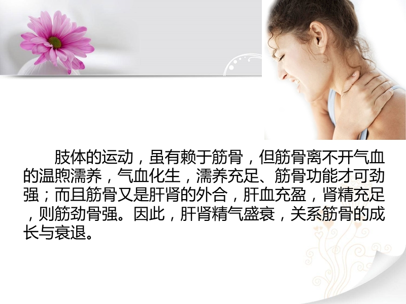 颈骨以及腰间盘突出.ppt_第1页