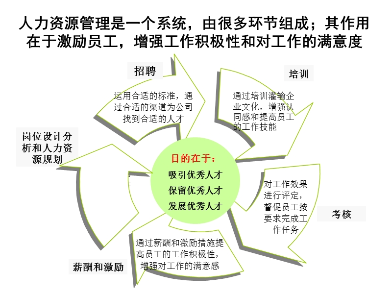 诊断-组织和人力.ppt_第3页