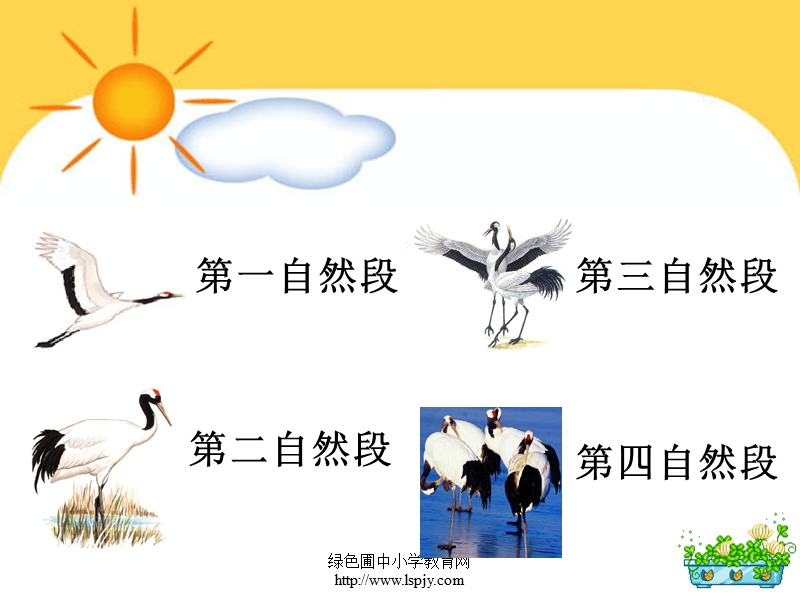 苏教版二年级上册语文《美丽的丹顶鹤.ppt_第3页