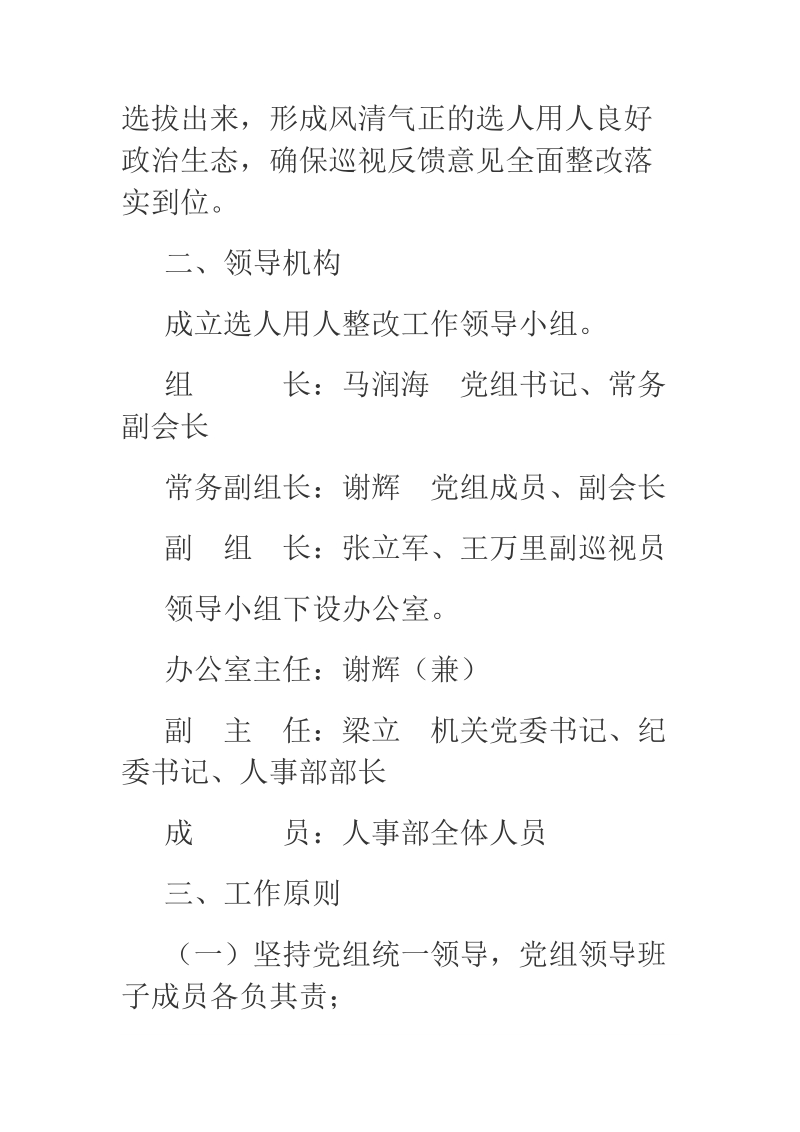 2018年某市委巡视组市委组织部检查组反馈选人用人问题整改工作实施方案.docx_第2页