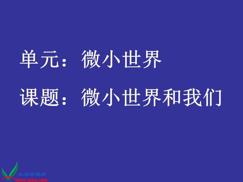 （教科版）六年级科学下册课件 微小世界和我们.ppt_第1页