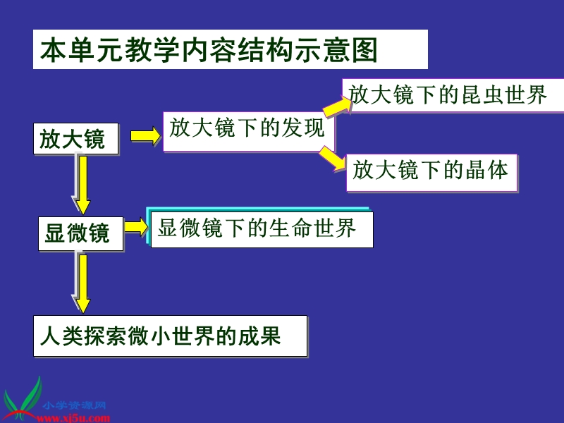 （教科版）六年级科学下册课件 微小世界和我们.ppt_第2页