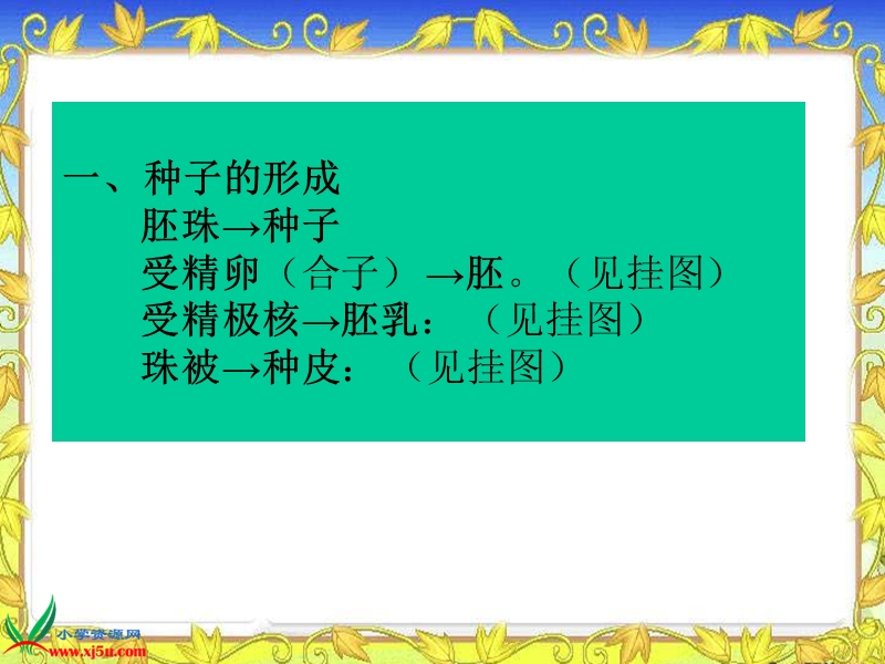 （苏教版）三年级科学下册课件 果实和种子 3.ppt_第2页