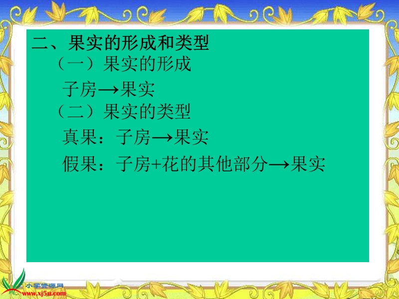 （苏教版）三年级科学下册课件 果实和种子 3.ppt_第3页