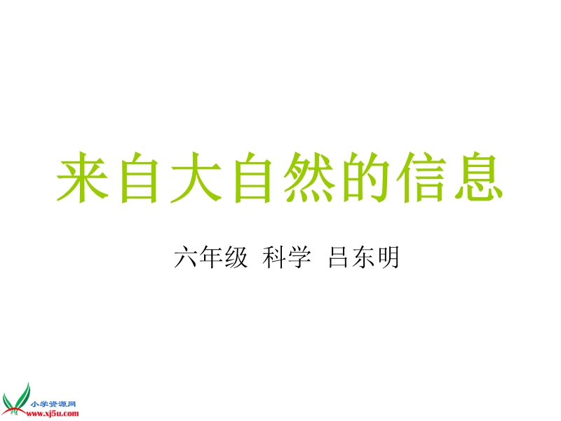 （青岛版）六年级科学下册课件 来自大自然的信息2.ppt_第1页