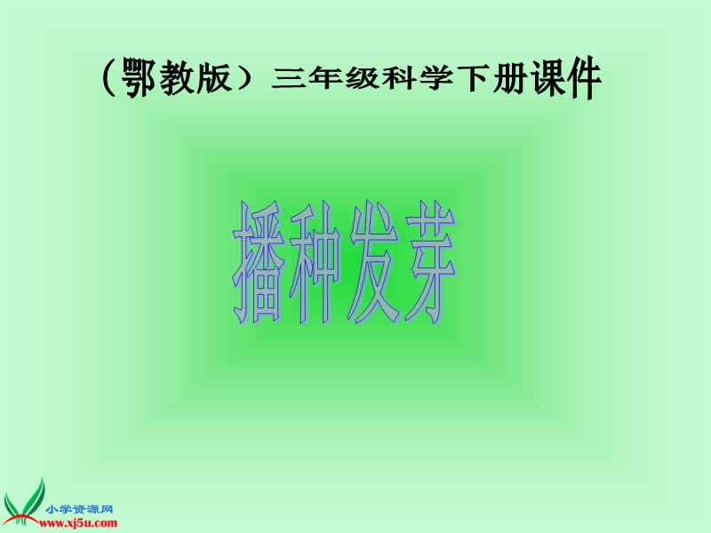 （鄂教版）三年级科学下册课件 播种发芽 4.ppt_第1页