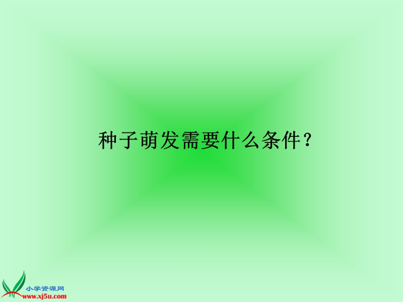 （鄂教版）三年级科学下册课件 播种发芽 4.ppt_第3页